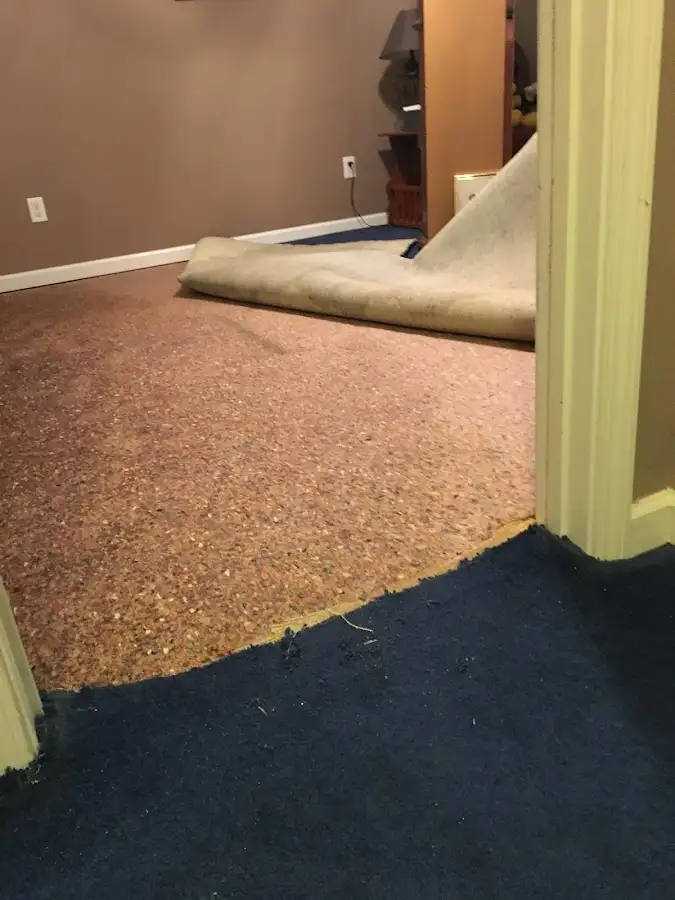 Carpet pad removal revealing water damage during Water Mitigation Services in DuBois