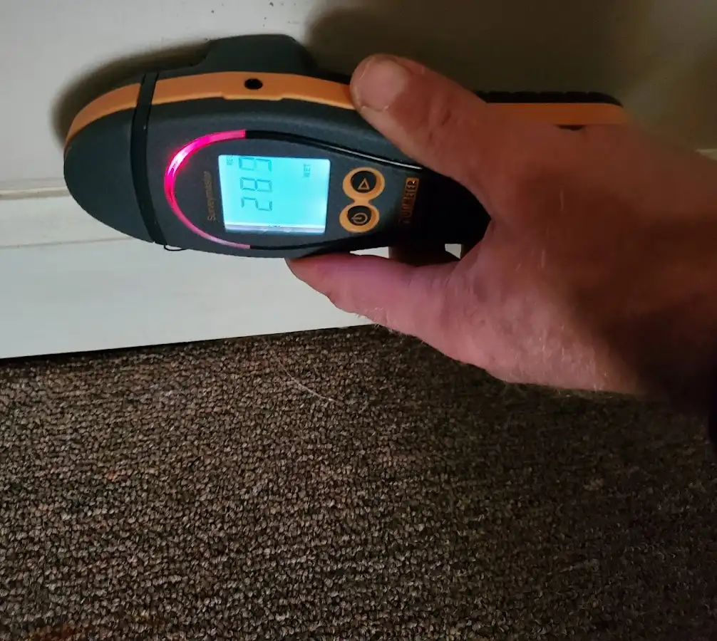 Moisture detection at baseboard during Sewage Cleanup & Sanitation in DuBois